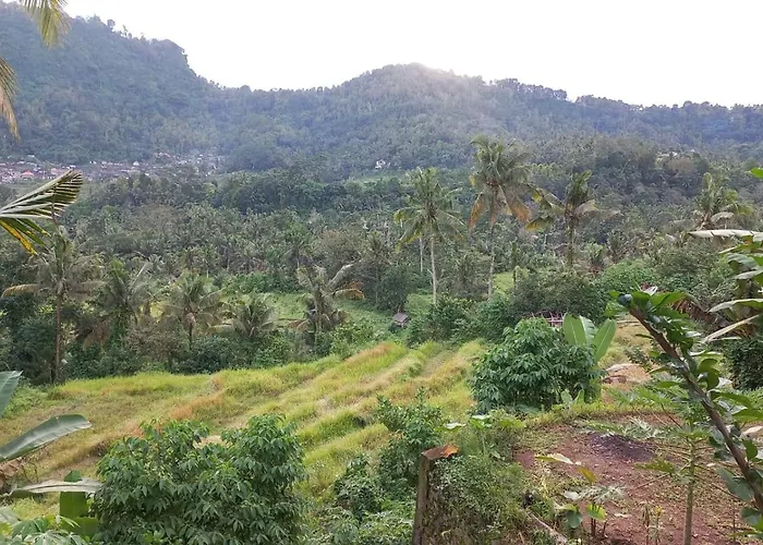 Lumbung Intan