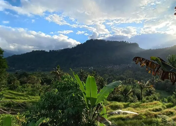 Lumbung Intan Sidemen (Bali)